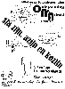 Poster 2000 — Slazijn